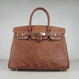 Hermes Birkin 30Cm Ostrich Stripe Handbags Chocolate Gold
